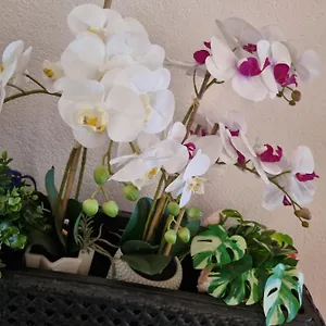 Orchidea Appartamento